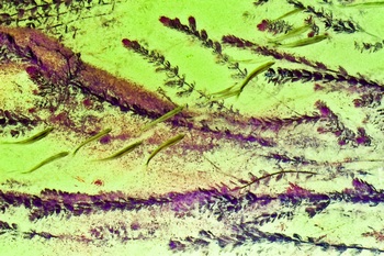 N 053B